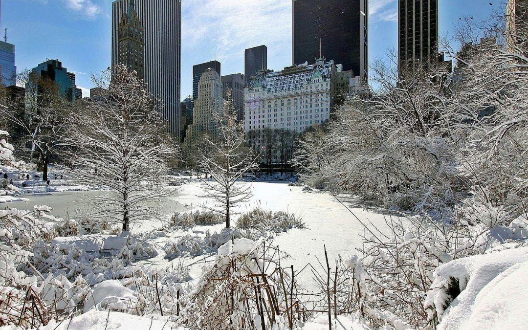 Rovetravel in Central Park NYC