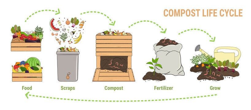 Compost Life Cycle