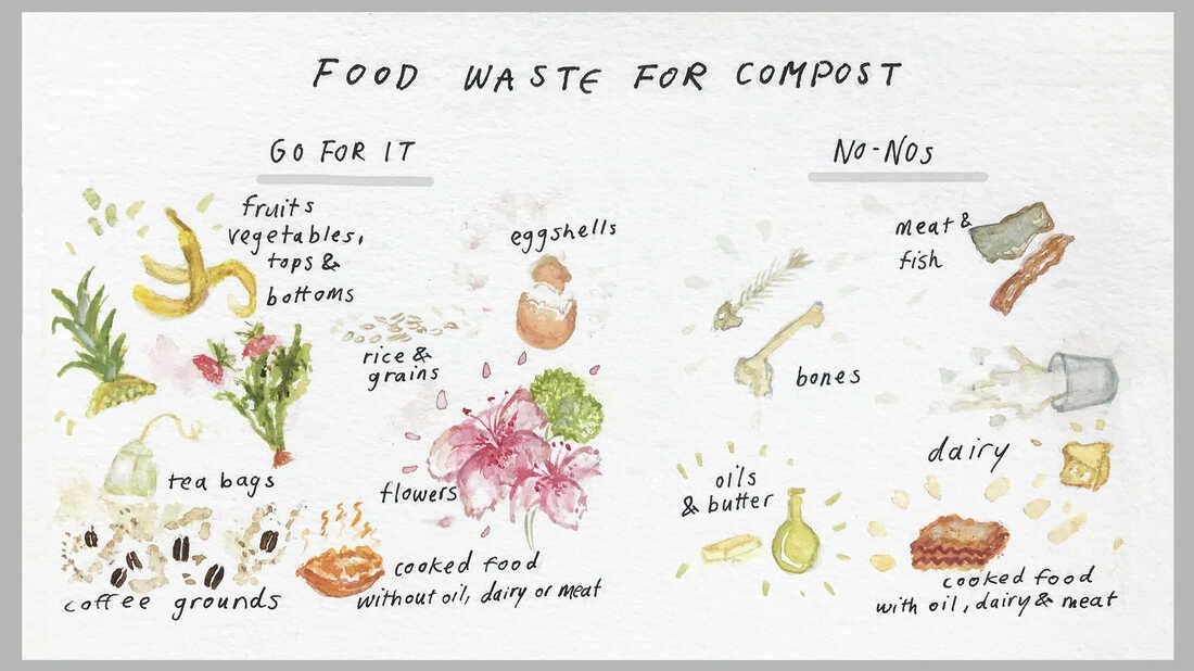 Food Waste for Compost