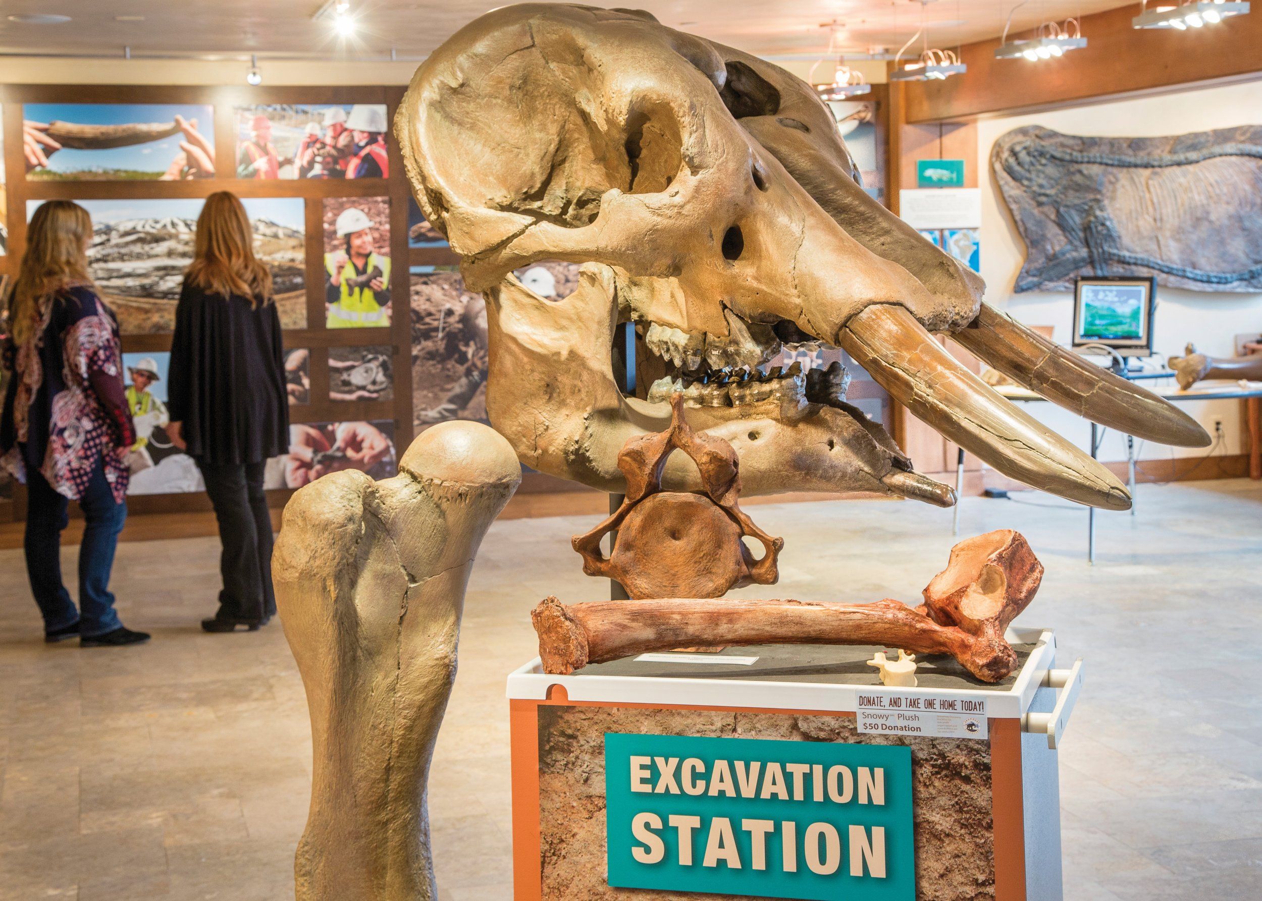 Ice Age Discovery Center