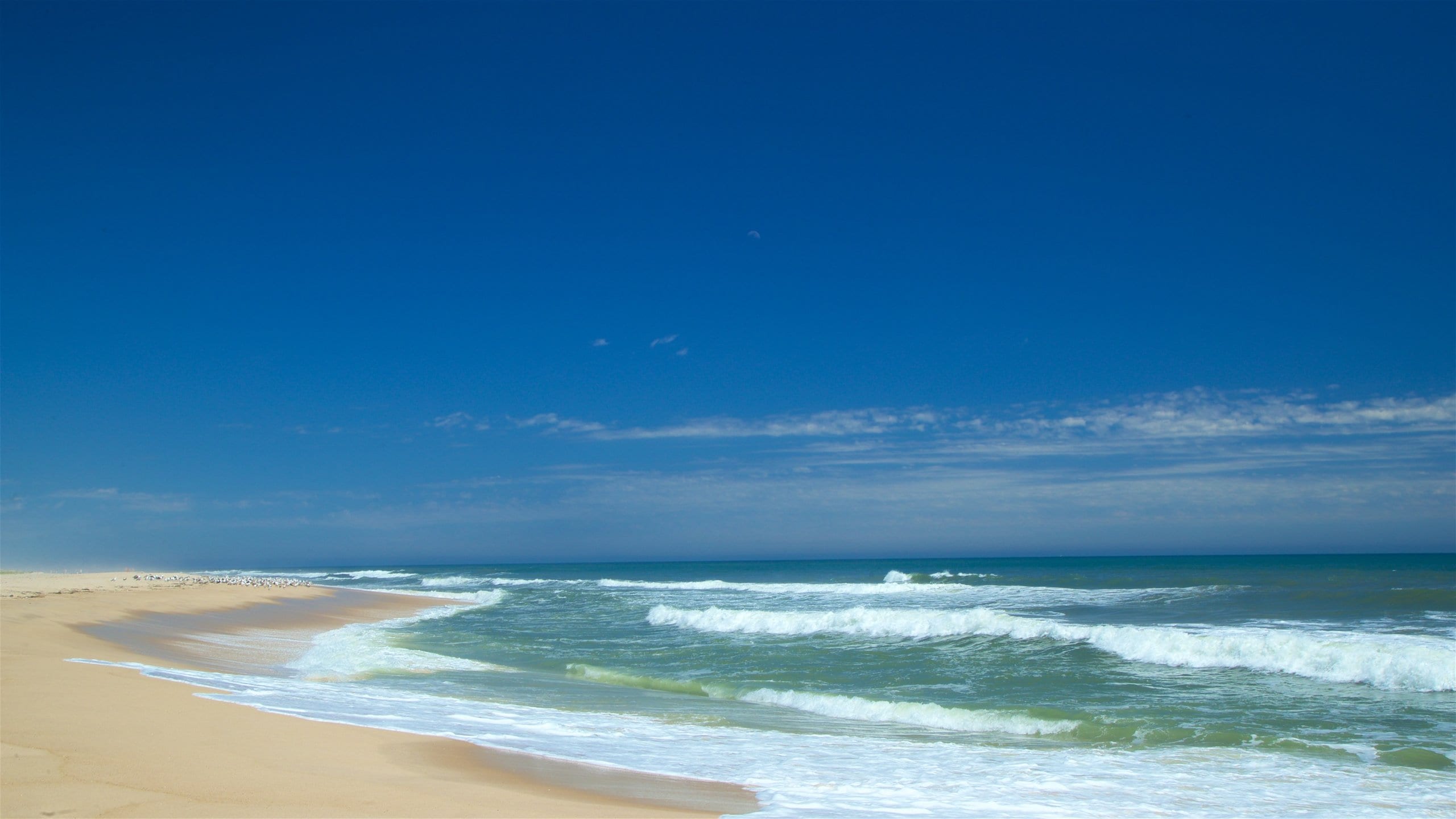 Coopers Beach for relaxation