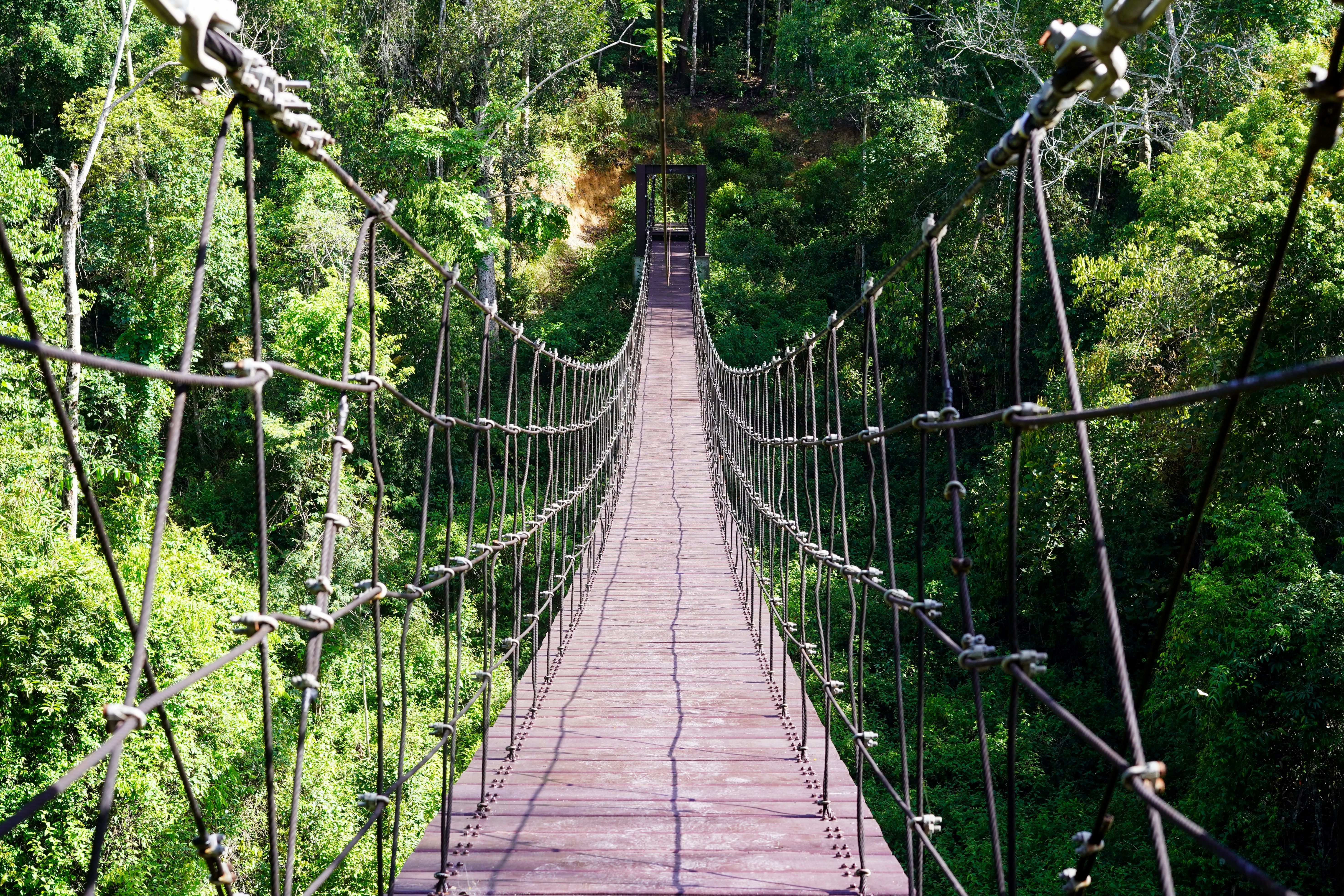 McCarthy's Wildlife Sanctuary