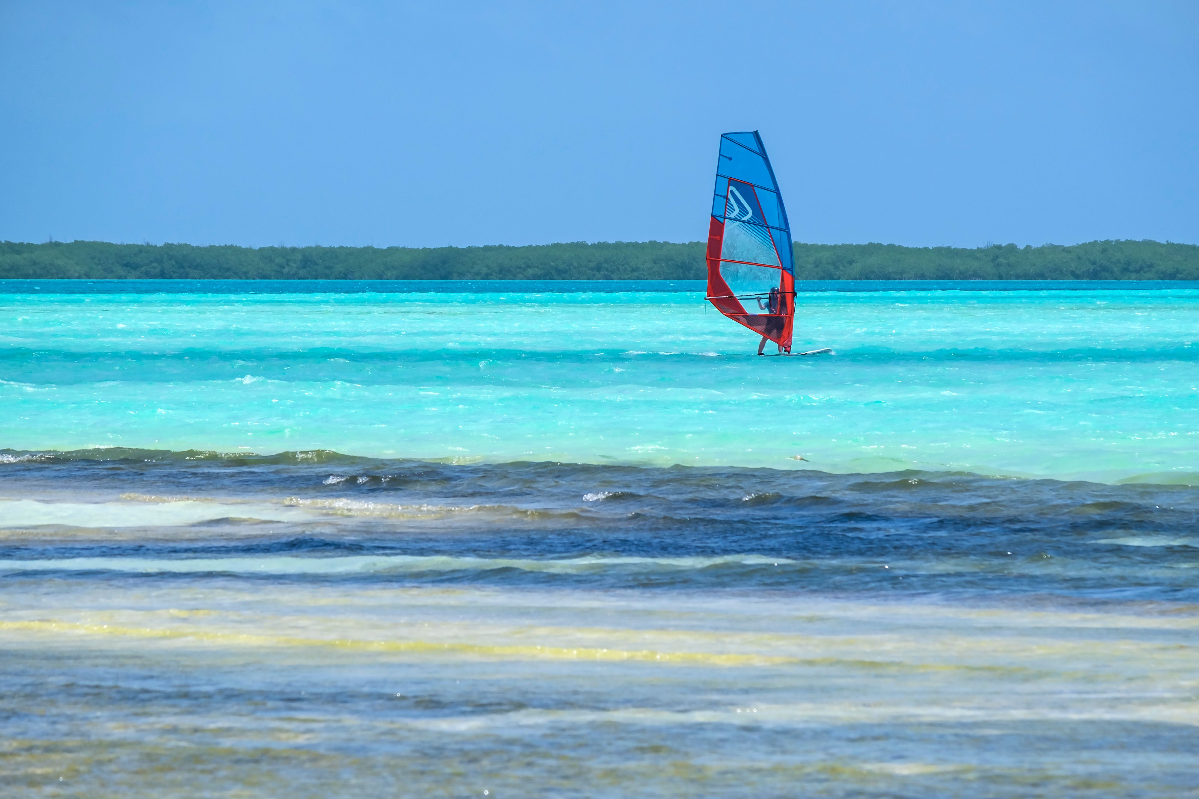 Windsurfing or kiteboarding