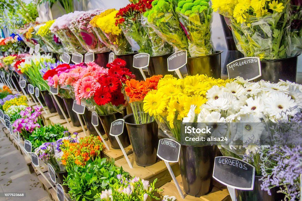 Susan’s Flowers & Artisan Boutique