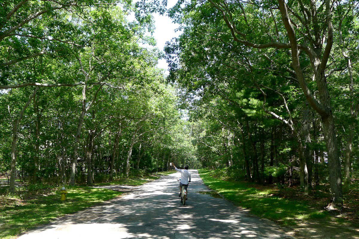 Bistro Breakfast & Nature Trails