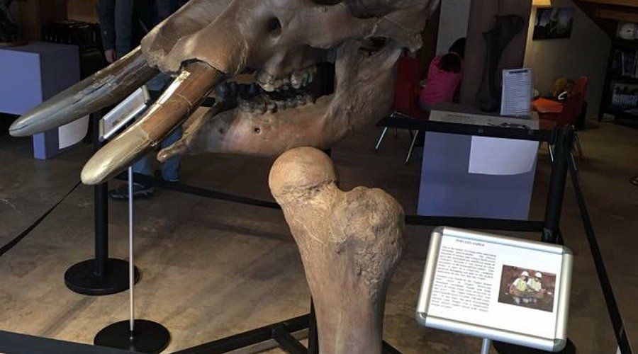 Ice Age Discovery Center