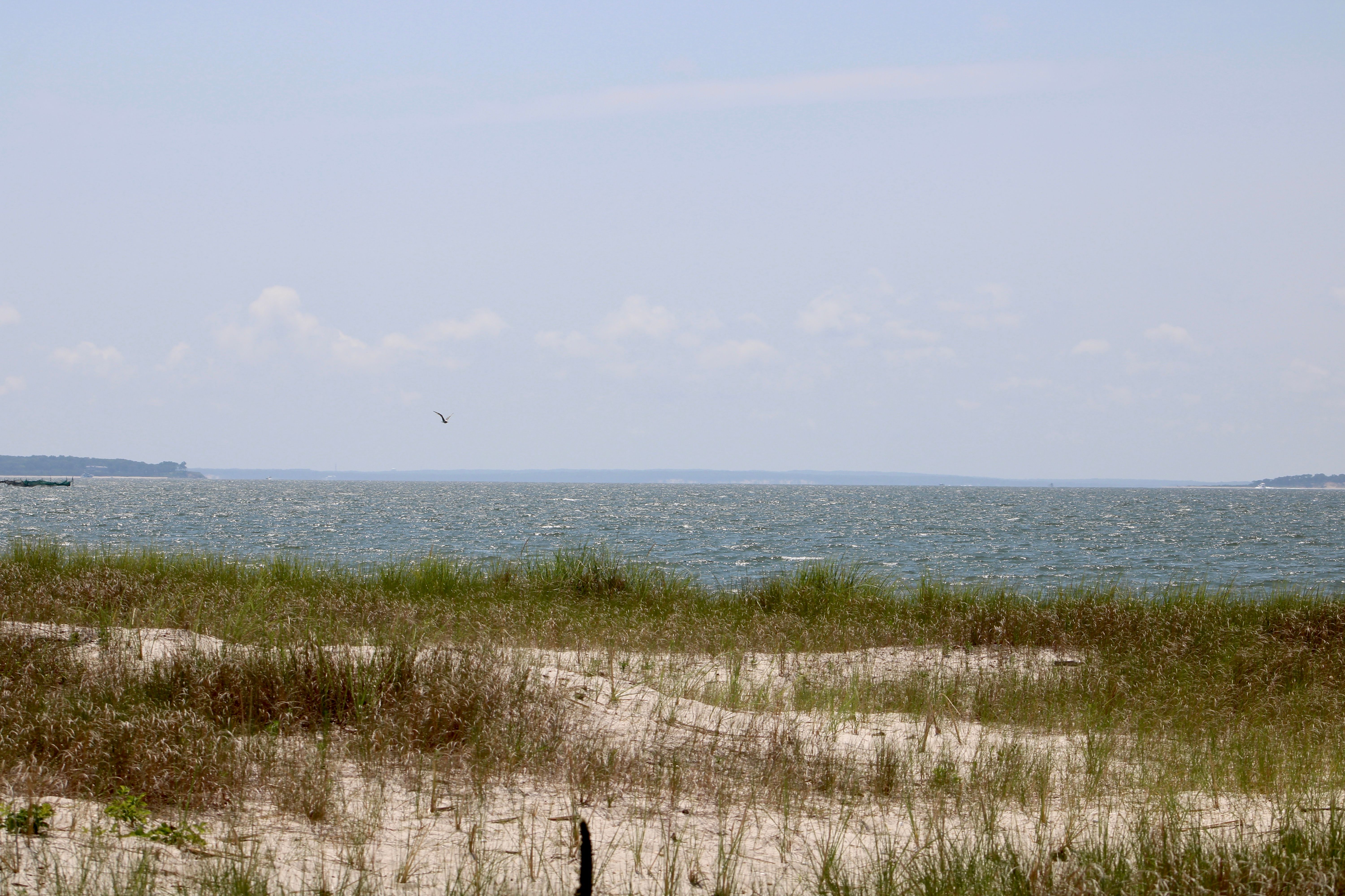 Elizabeth Alexandra Morton National Wildlife Refuge