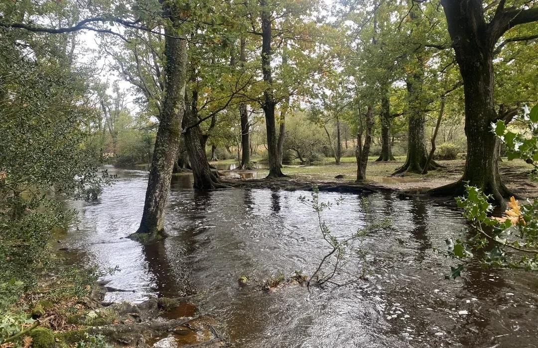 Southampton Village Nature Trails