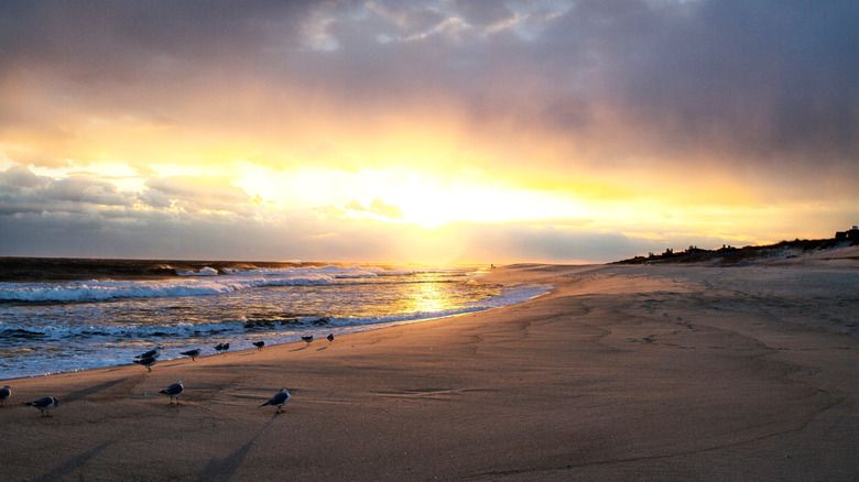 Top Must-Do Activity in Southampton