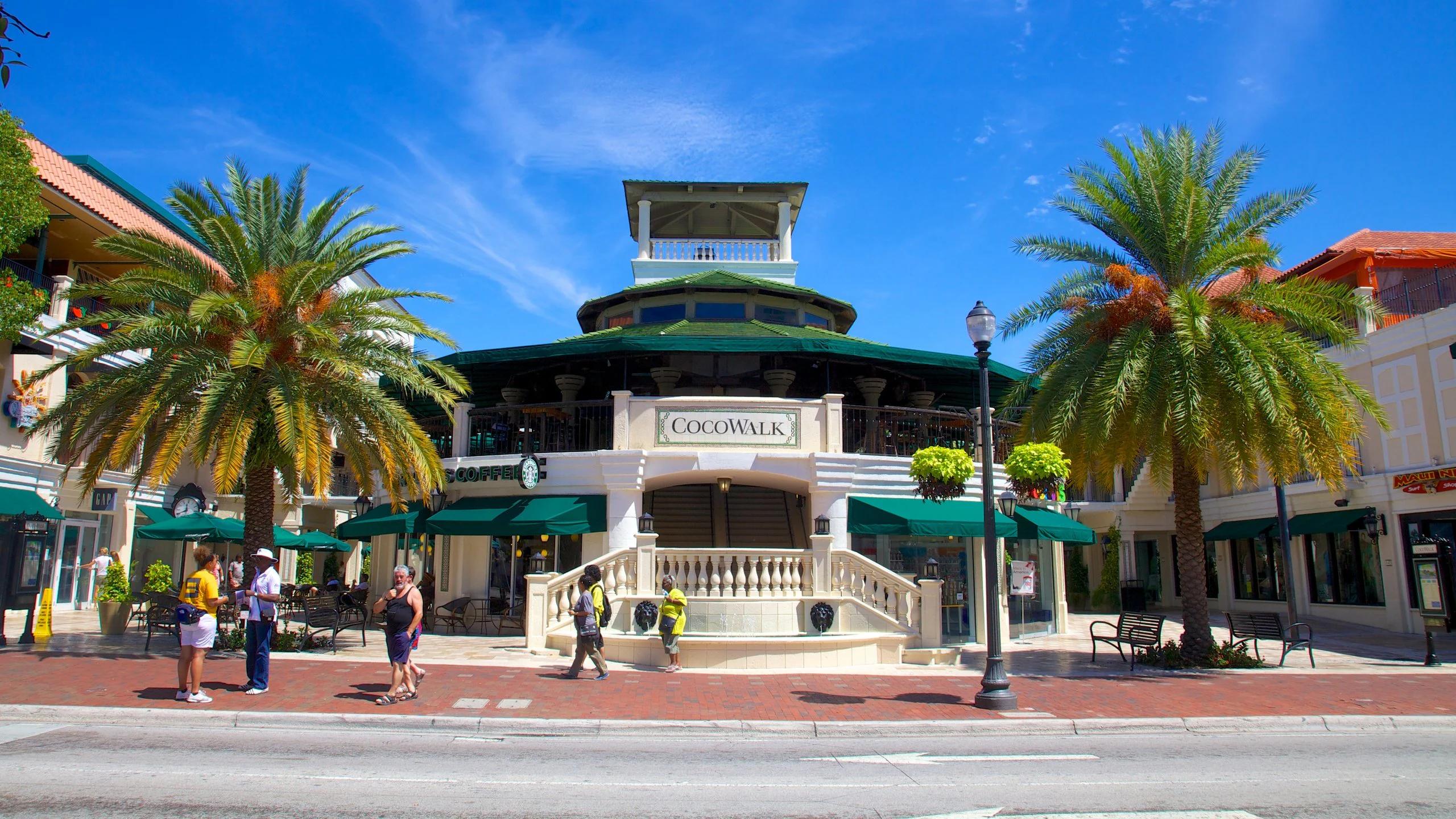 Coconut Grove Shopping