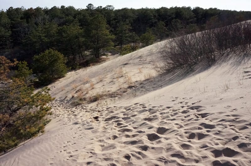 Walking Dunes Trail