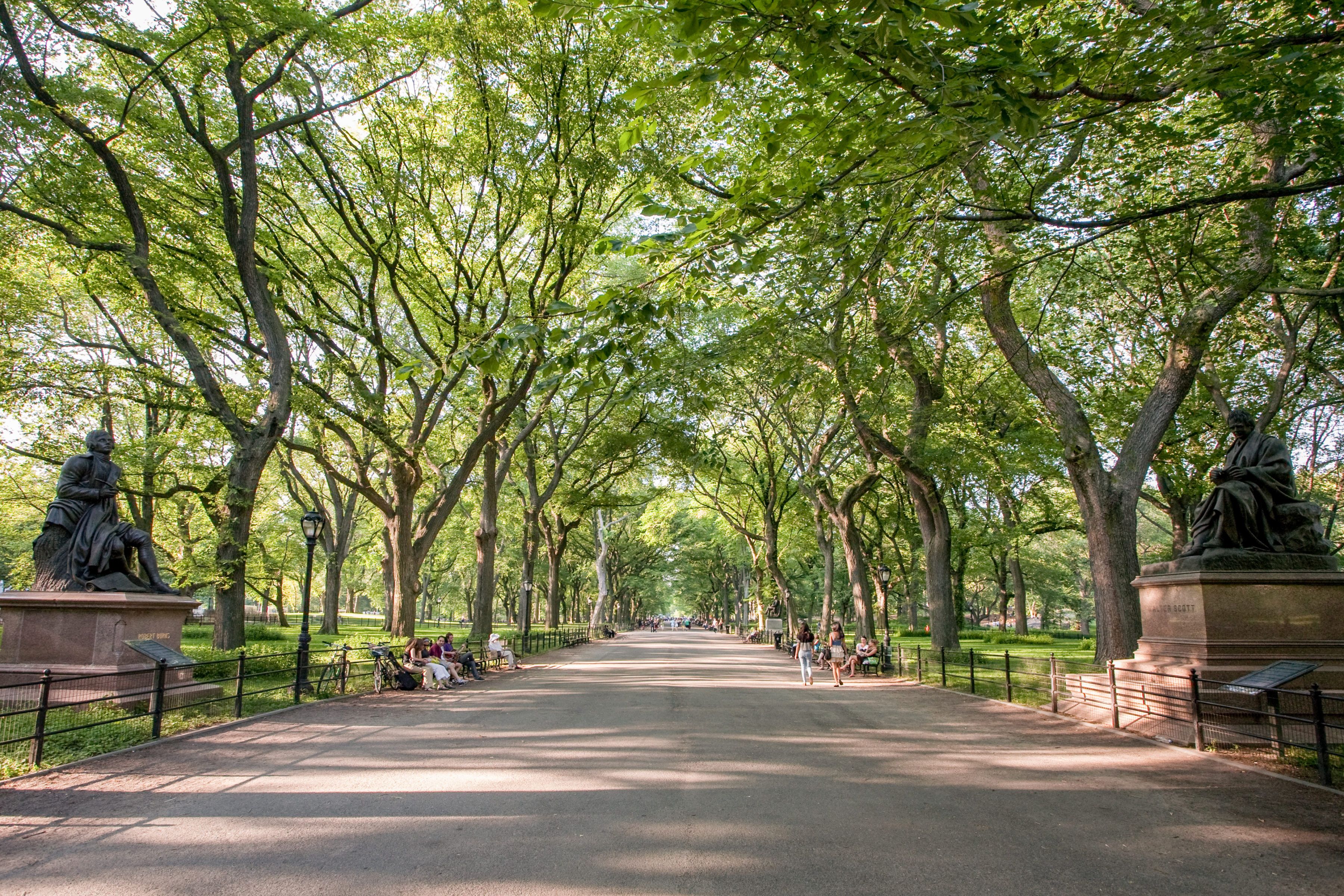 The Mall and Literary Walk