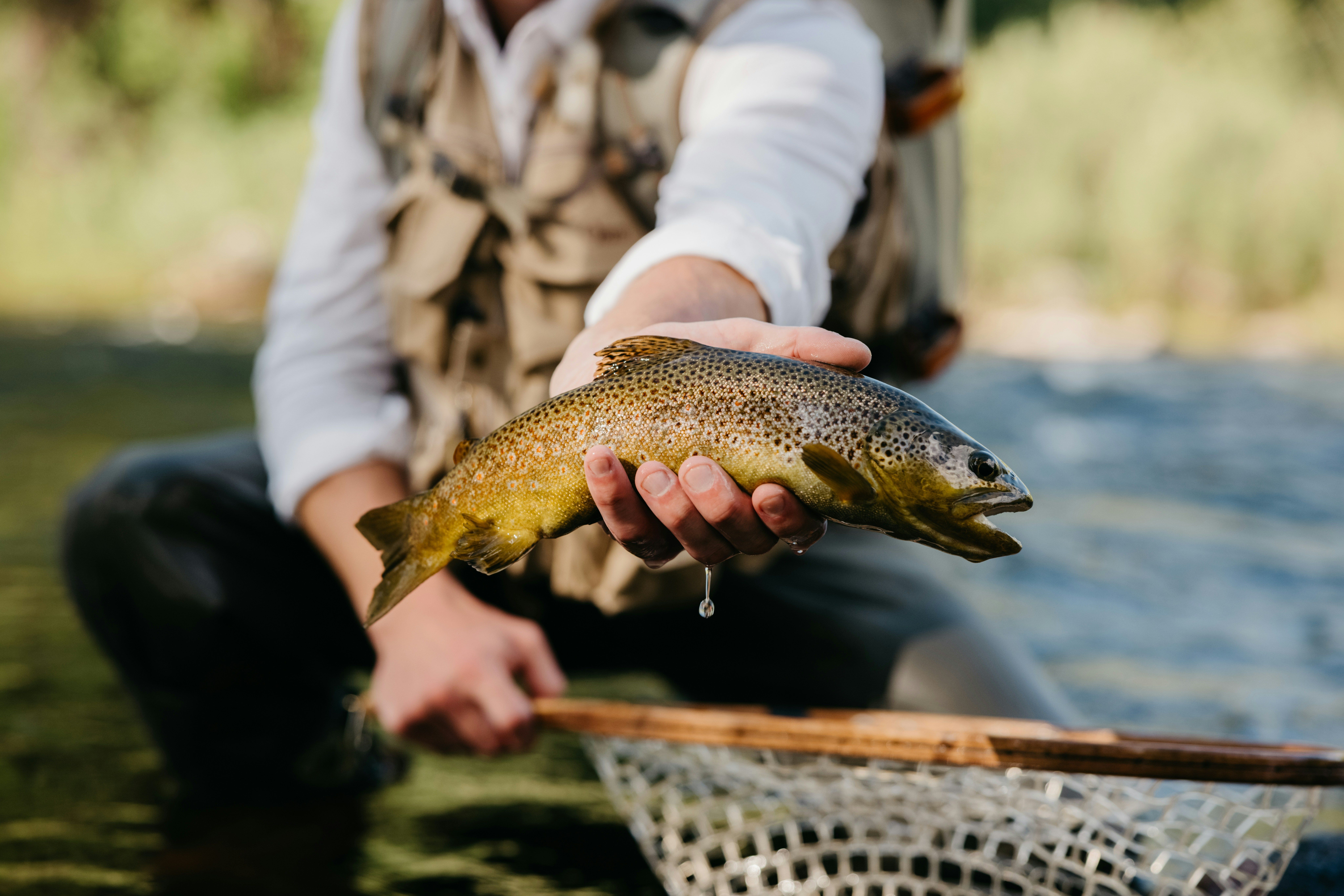Top Must-Do Activity in Basalt: Fly-Fishing