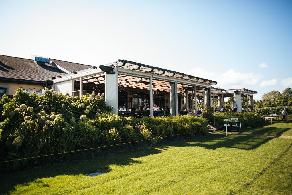 Wolffer Estate Vineyard