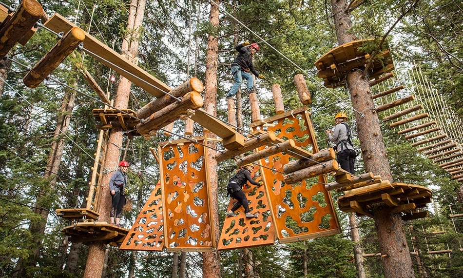 Lost Forest Adventure Center