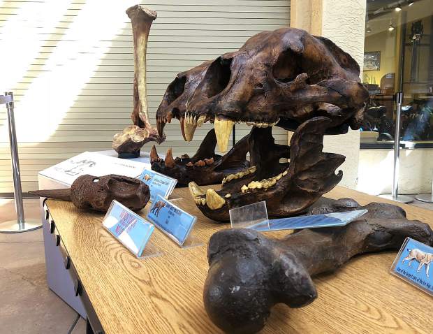 Ice Age Discovery Center