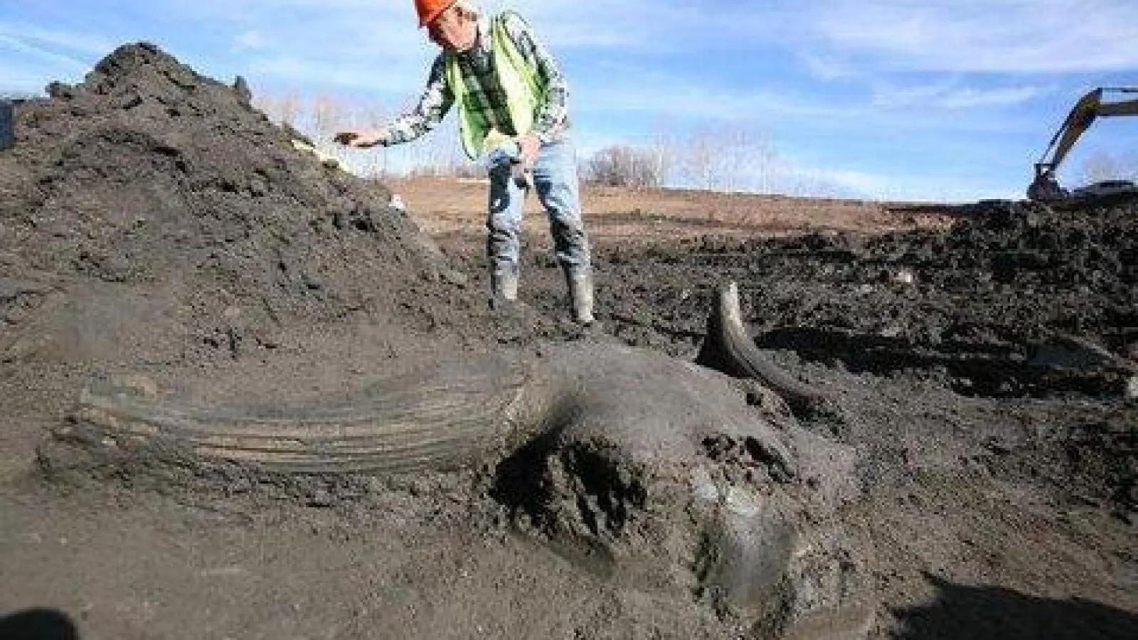 Ice Age Discovery Center