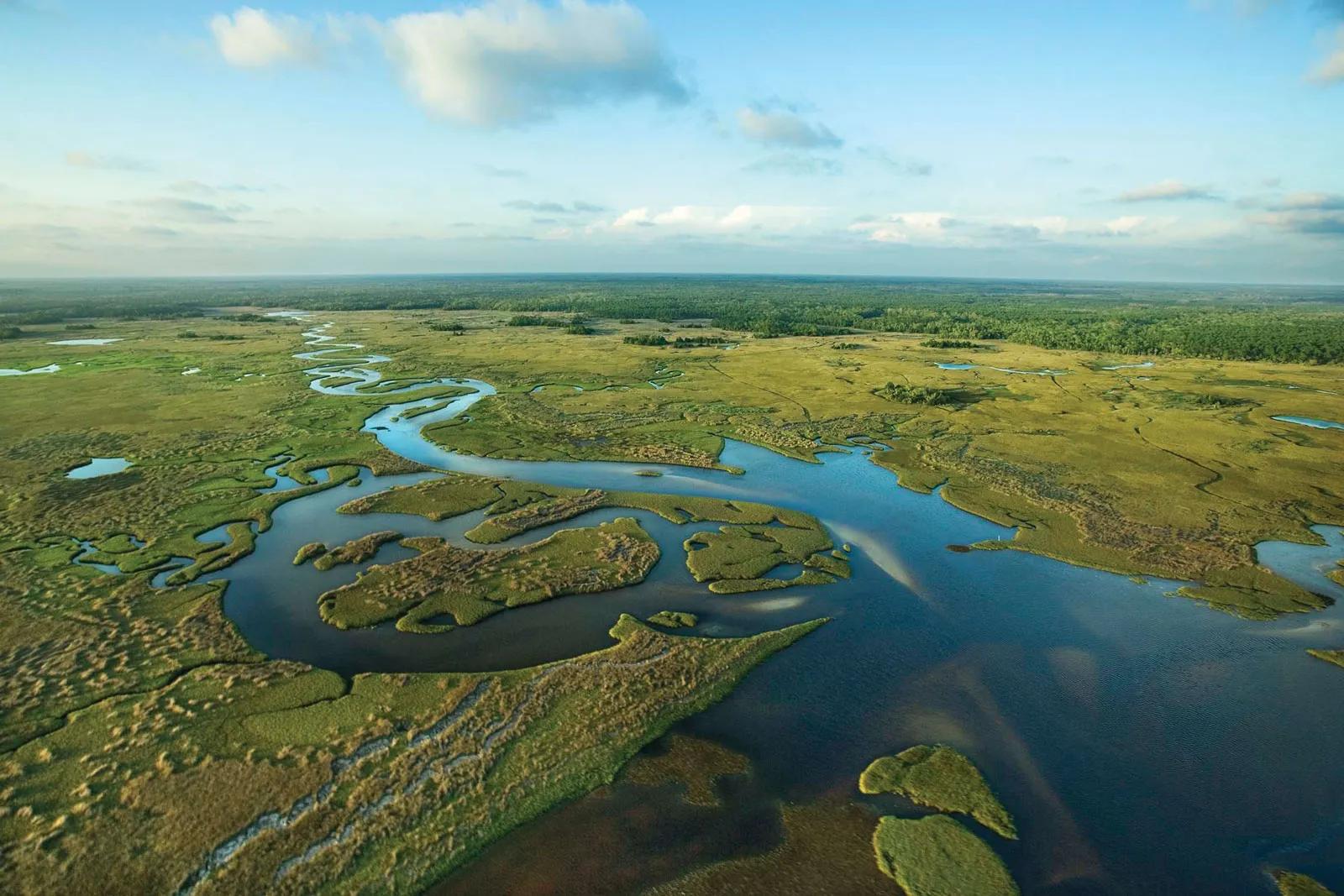 Rove's Featured Must-See: Everglades National Park