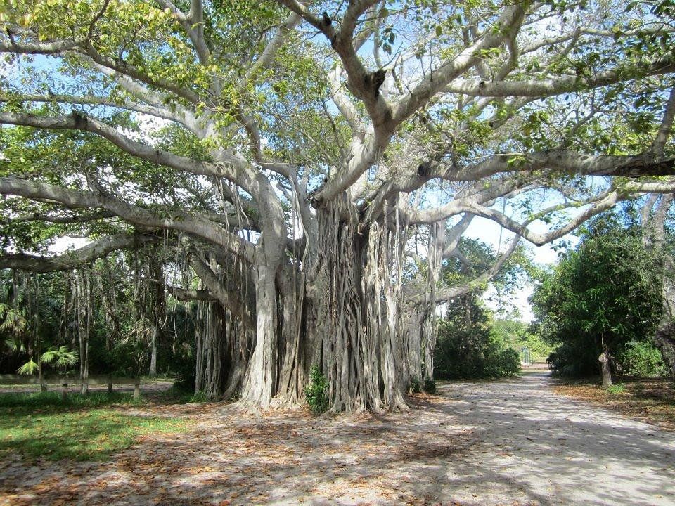 Hugh Taylor Birch State Park