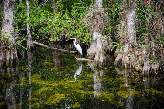 Everglades National Park
