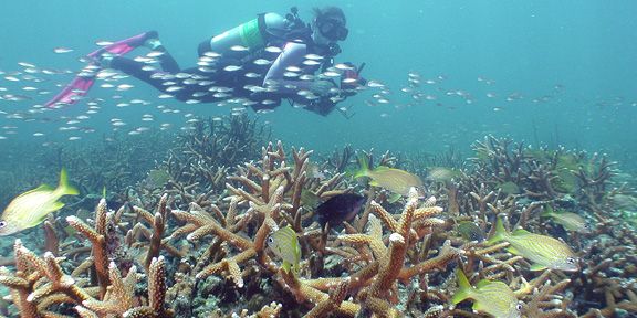 Snorkeling adventure
