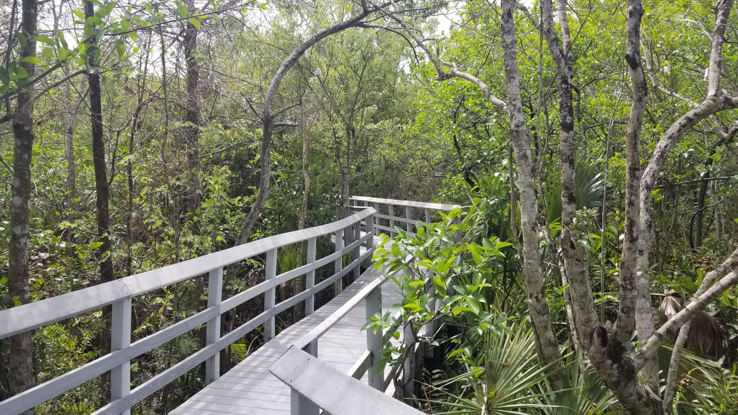 Fern Forest Nature Center