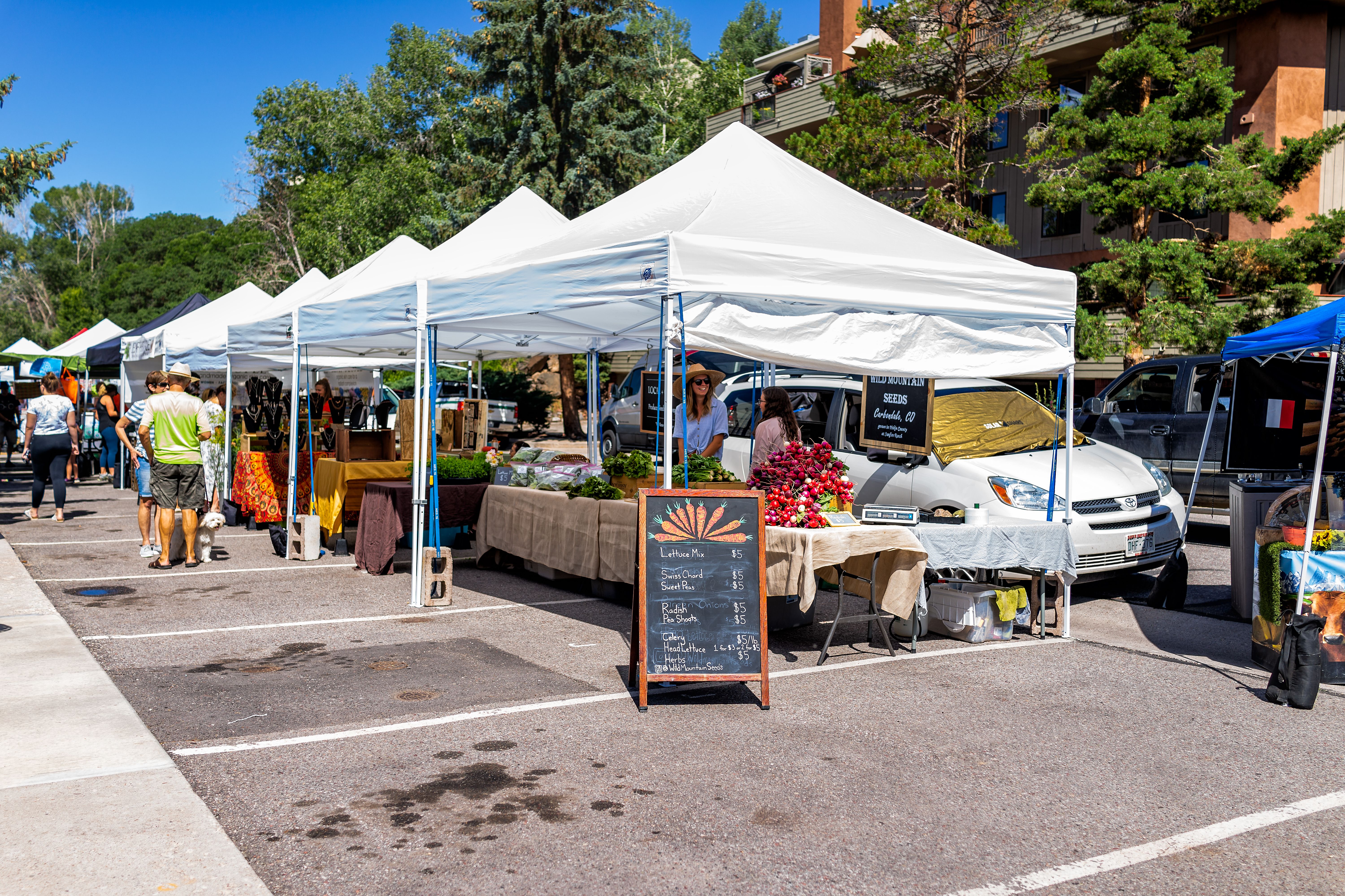 Basalt Sunday Market