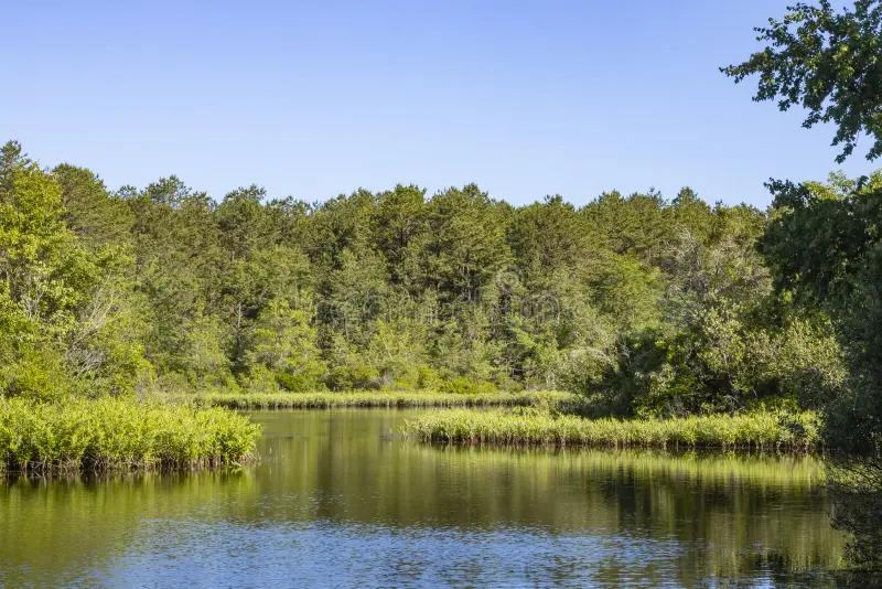 Rove's Featured Must-See: Quogue Wildlife Refuge