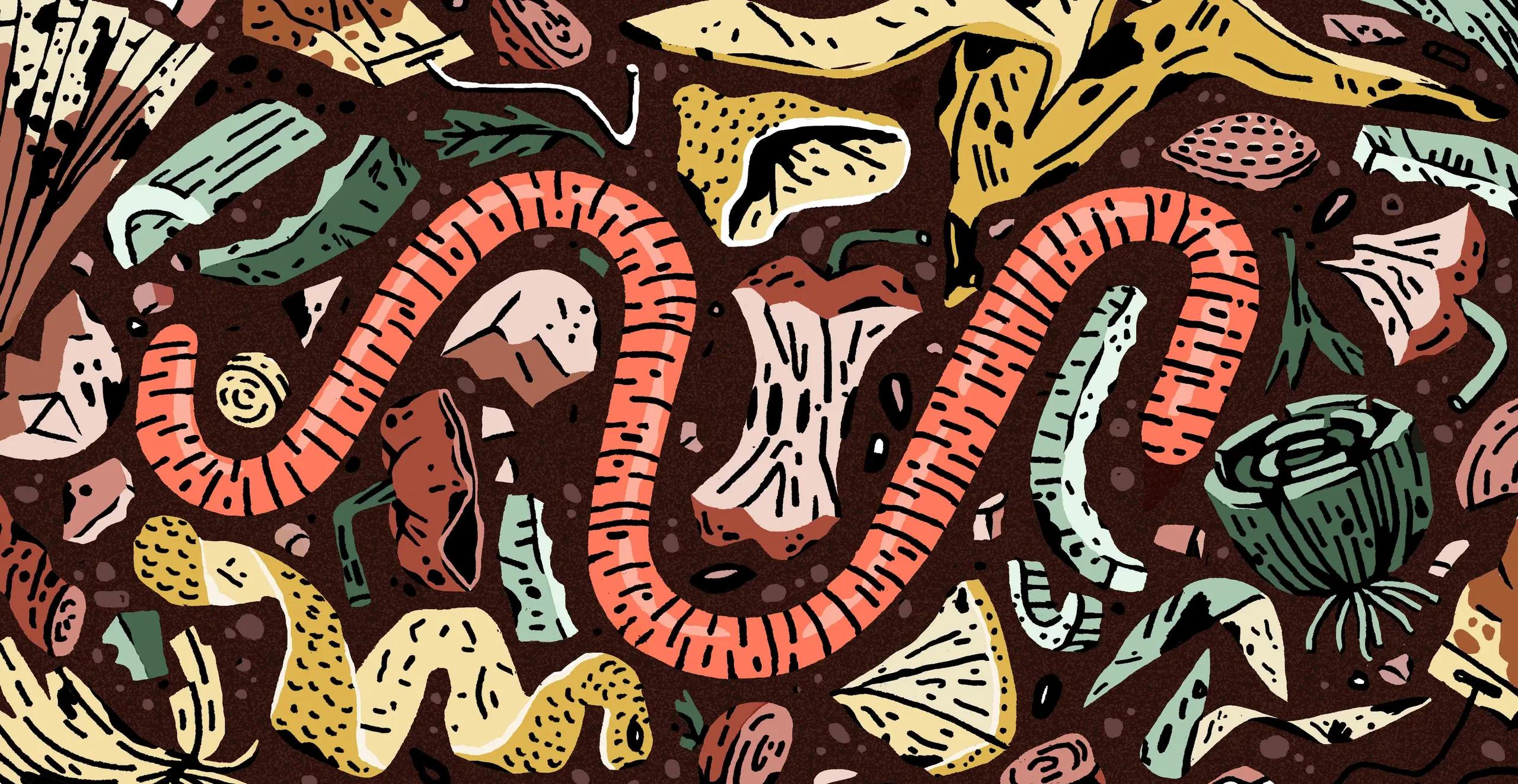 A Beginner's Guide to Apartment Composting