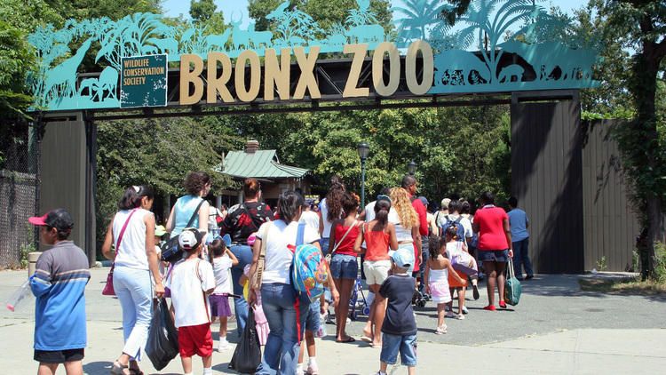 Exploring NYC with Kids: The Best Family-Friendly Attractions