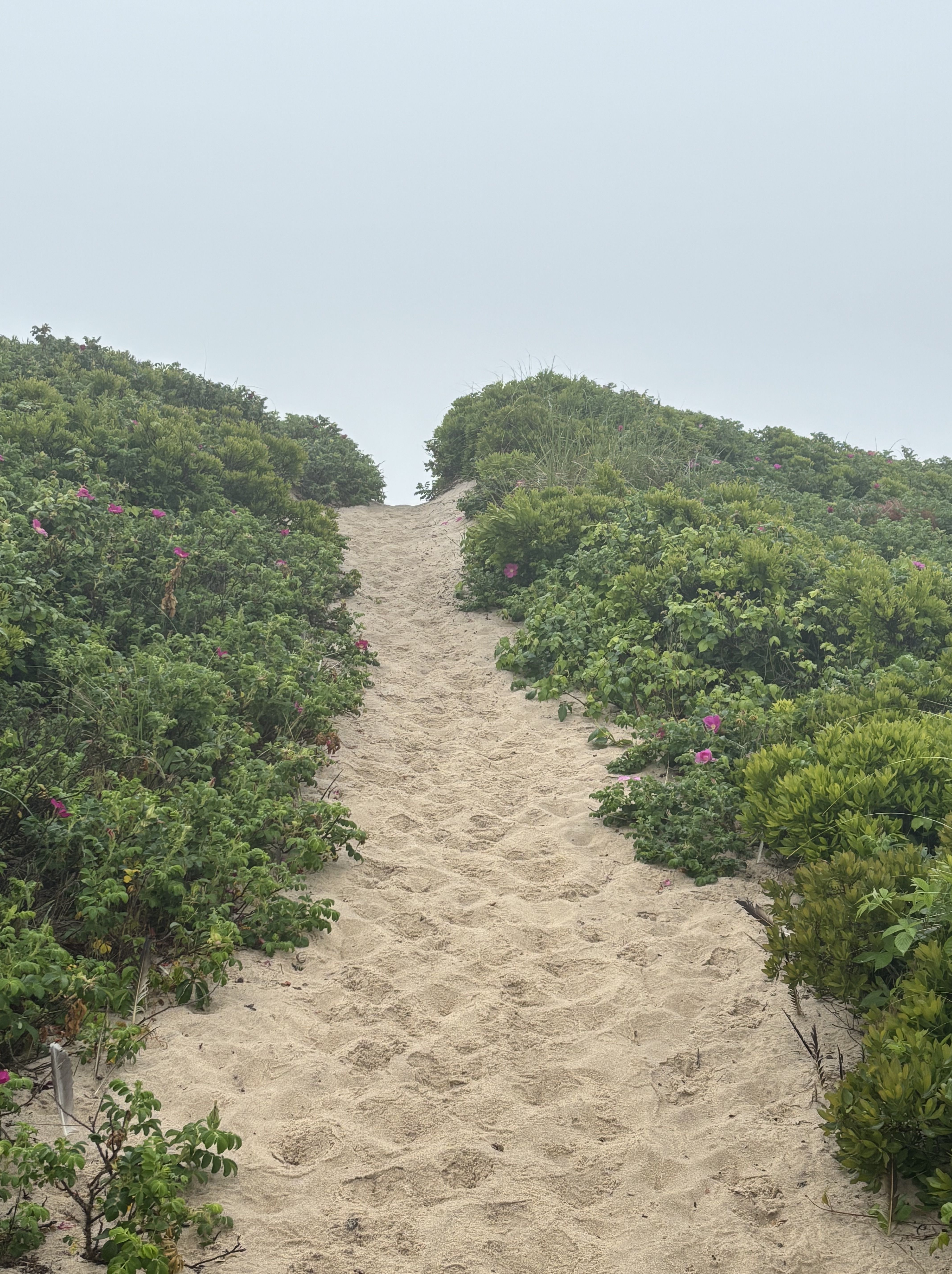 Walking Dunes