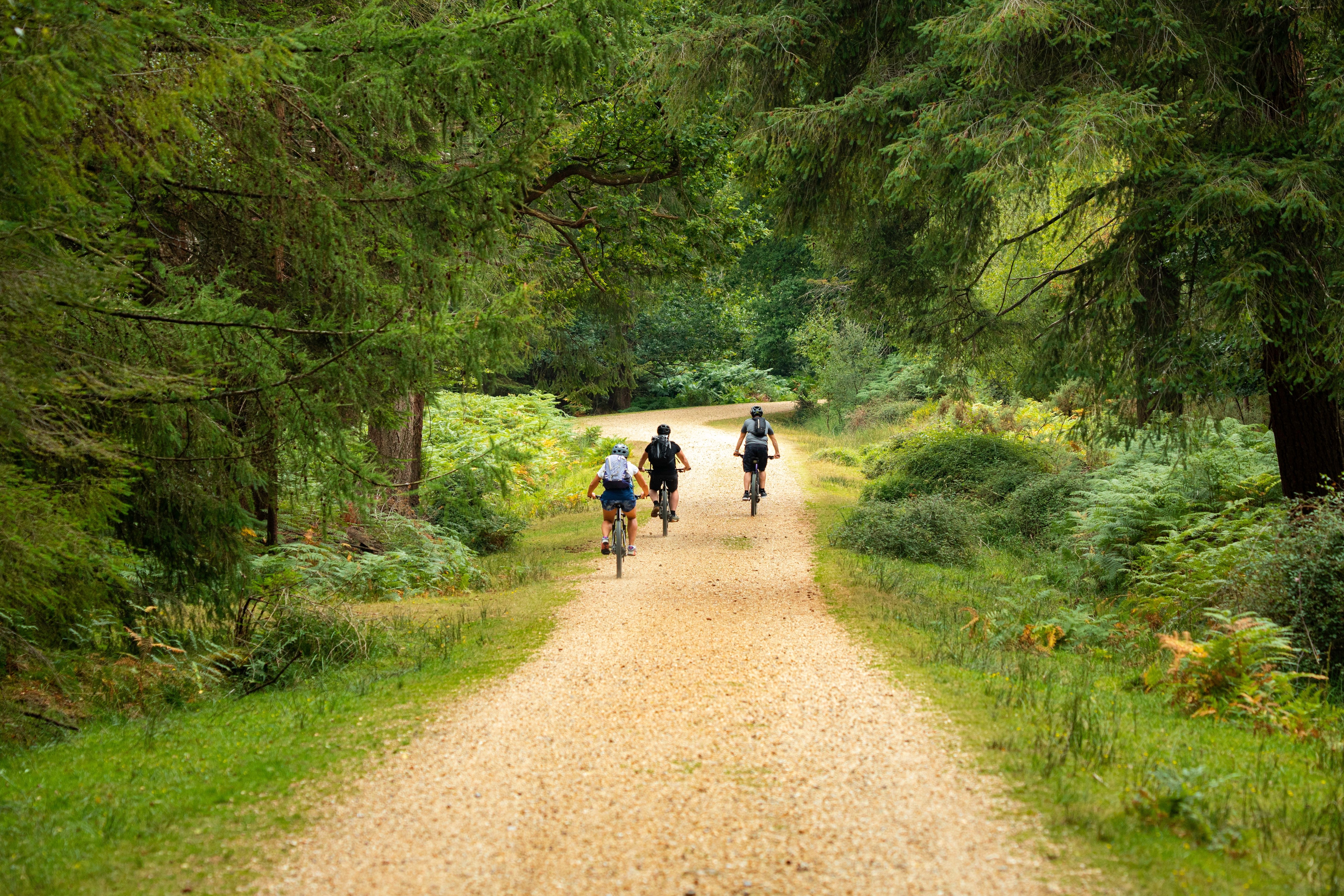 Southampton Village Nature Trails