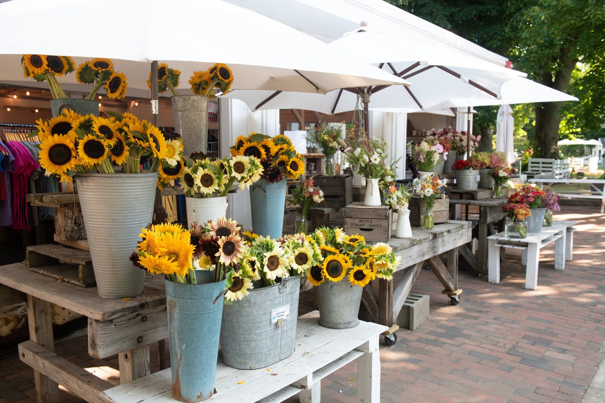 Farmers Market at Amber Waves Farm